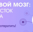 Дальний восток без инсульта! - Управление образования