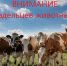 УВАЖАЕМЫЕ ГРАЖДАНЕ, ВЛАДЕЛЬЦЫ СЕЛЬСКОХОЗЯЙСТВЕННЫХ И ДОМАШНИХ ЖИВОТНЫХ! - Рабочий поселок Ванино